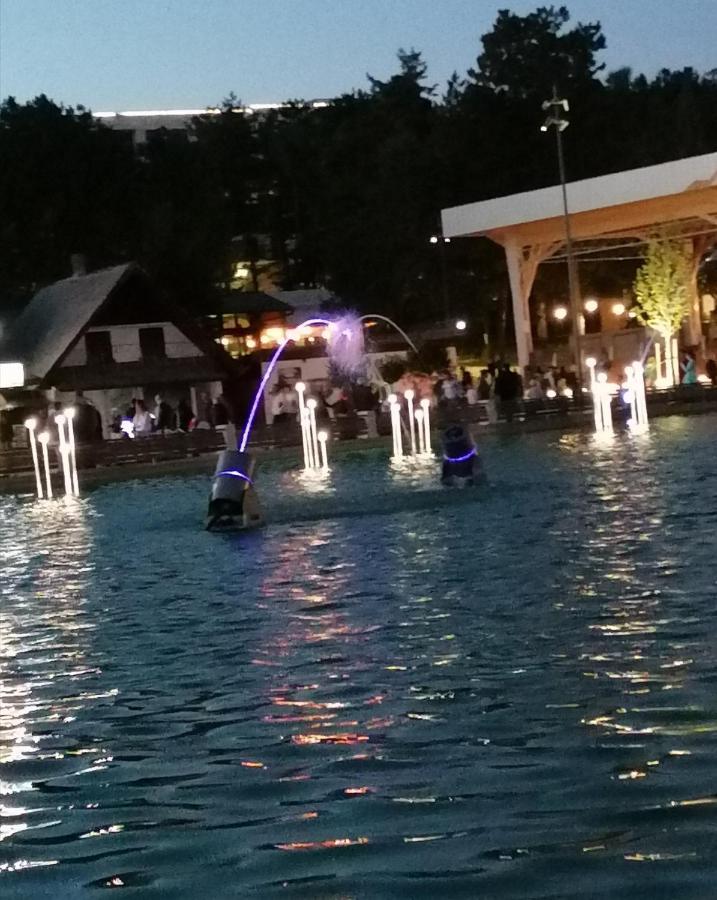 Hotel Standardna Soba Zlatibor Centar 205 Zewnętrze zdjęcie